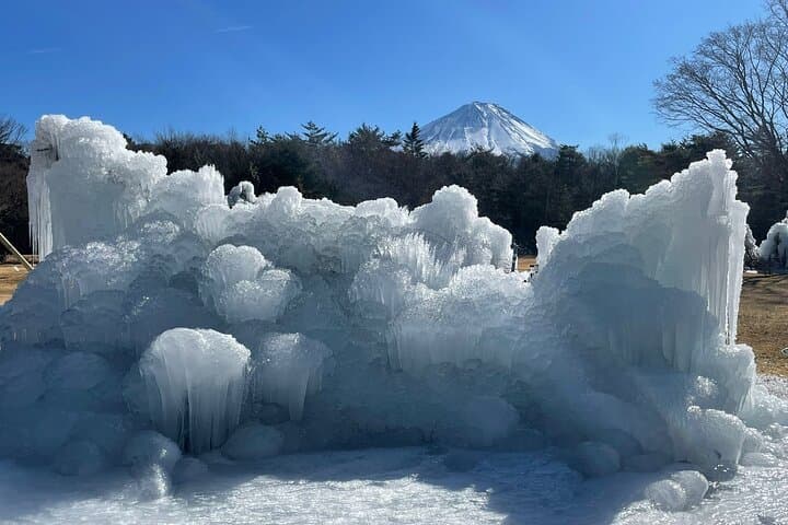 Private Mt Fuji Day Trip from Tokyo: Lake Kawaguchi, Chureito Pagoda & Ropeway photo 3