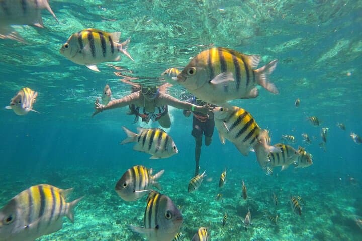 Private Yacht to Isla Mujeres: Luxury Day Cruise from Cancun photo 5