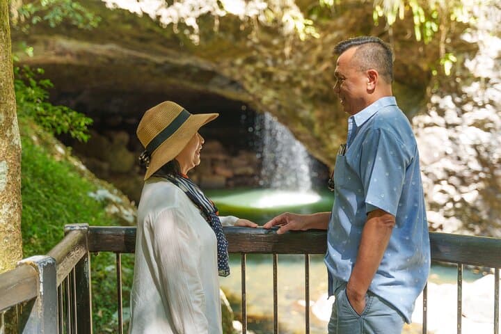 Gold Coast Day Tour from Brisbane: Wildlife Encounters, SkyPoint Lunch & Springbrook Rainforest photo 3