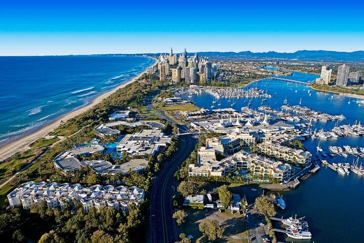 Gold Coast Day Tour from Brisbane: Wildlife Encounters, SkyPoint Lunch & Springbrook Rainforest photo 4