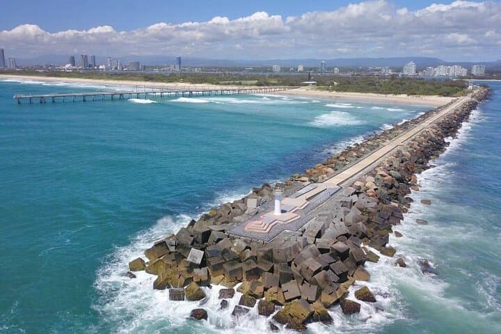 Gold Coast Day Tour from Brisbane: Wildlife Encounters, SkyPoint Lunch & Springbrook Rainforest photo 5