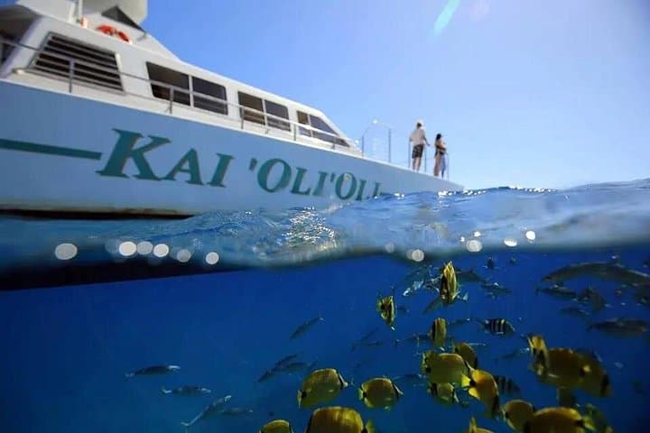 Private Ko Olina Sunset Snorkel & Dinner Cruise — Dolphins, Coral, Hawaiian Buffet photo 5