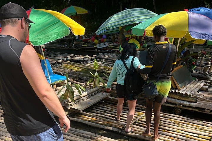 Rockland Bird Sanctuary and Bamboo Rafting in Montego Bay: Feed the Streamertail and Float the River photo 2