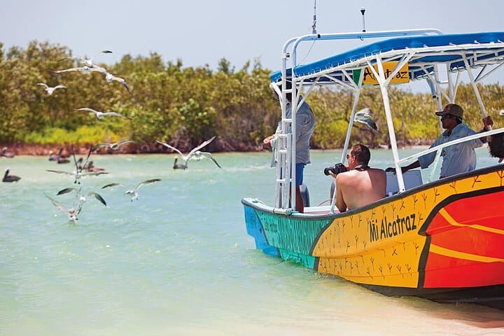 Swim with Whale Sharks from Isla Holbox — Cabo Catoche Snorkel & Ceviche photo 5