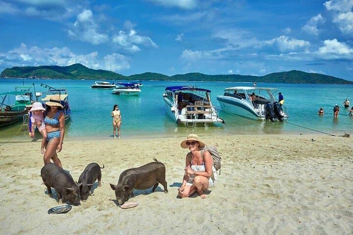 Pig Island Speedboat Snorkel Tour from Koh Samui — Koh Madsum & Koh Tan Day Trip photo 4