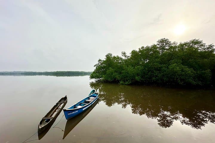 Divar Island Nature and Culture Walk with Local Residents photo 2