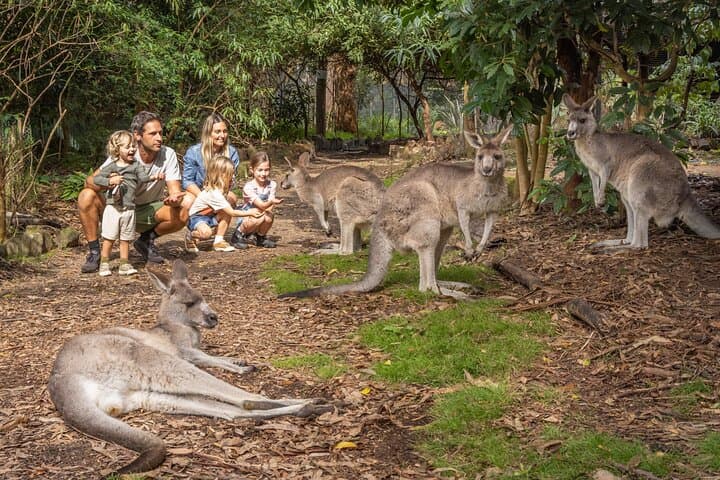 Eden to Merimbula: Wetlands, Wildlife and Coastal Sights on the Sapphire Coast photo 1