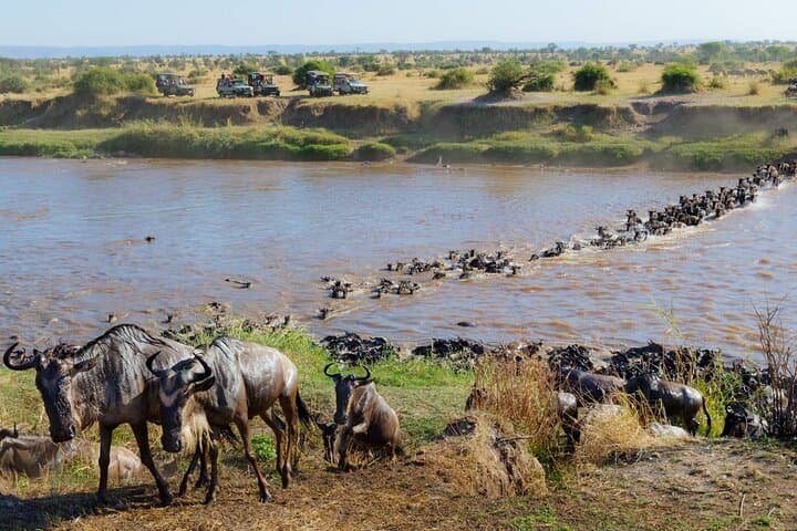 14-Day Kenya Wildlife Safari & Diani Beach Holiday photo 2