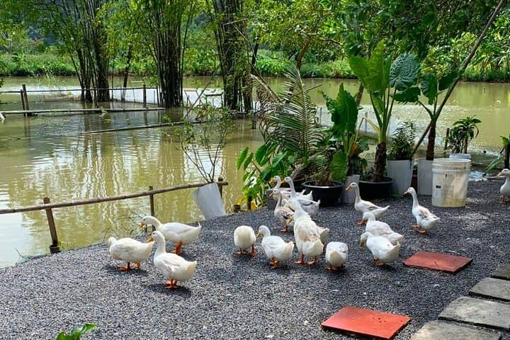 Ninh Binh Hidden Gems Motorbike Tour: Tam Coc Villages, Farms & Cave Temples photo 5