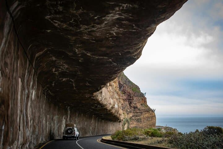 Robben Island and Boulders Beach: Penguins, Prison Cells & Chapman's Peak Drive photo 6