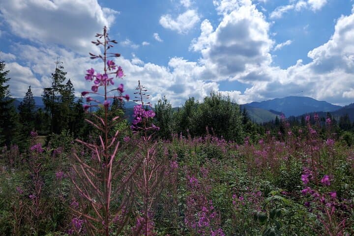 Zakopane Day Trip from Krakow: Ski Witów, Ride Gubałówka & Explore Krupówki photo 6