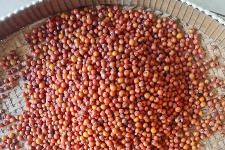 Kampot Pepper Farm, Secret Lake & Salt Fields Day Tour photo 3