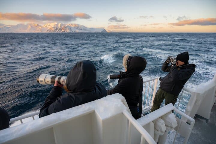 24-Hour Northern Lights and Whale Watching Cruise from Tromsø photo 2