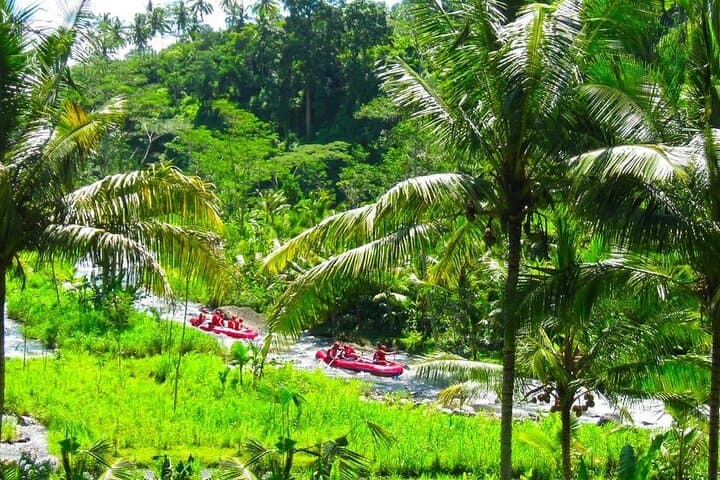 Bali White-Water Rafting From Ubud: Private Transfer, River Lunch & Photos photo 5