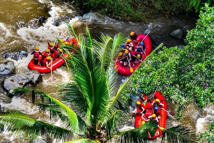 Bali White-Water Rafting From Ubud: Private Transfer, River Lunch & Photos photo 3