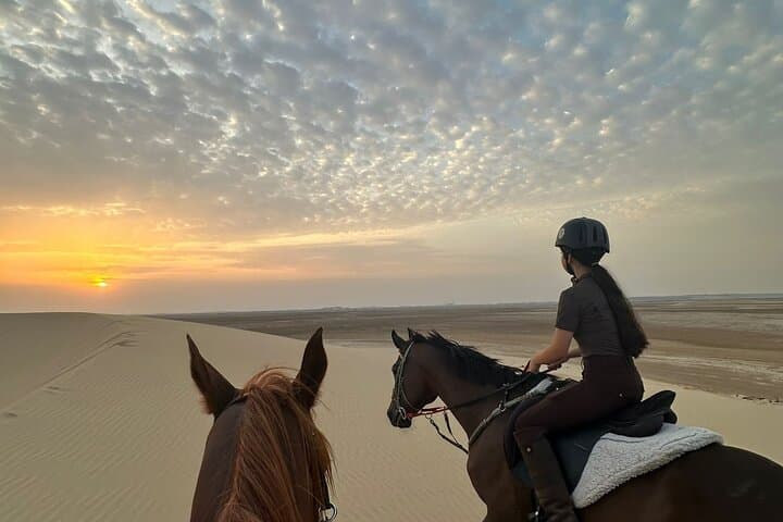 Doha Arabian Horseback Riding Adventure: Desert Dunes & Stable Transfers
