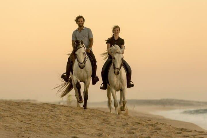 Doha Arabian Horseback Riding Adventure: Desert Dunes & Stable Transfers photo 4