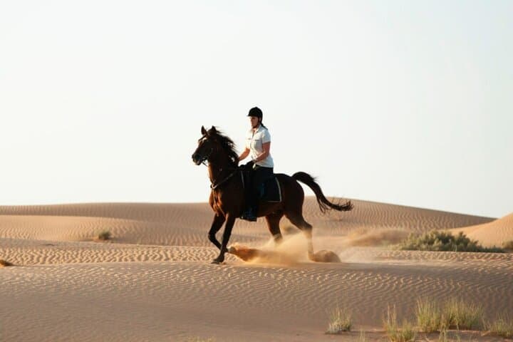Doha Arabian Horseback Riding Adventure: Desert Dunes & Stable Transfers photo 3