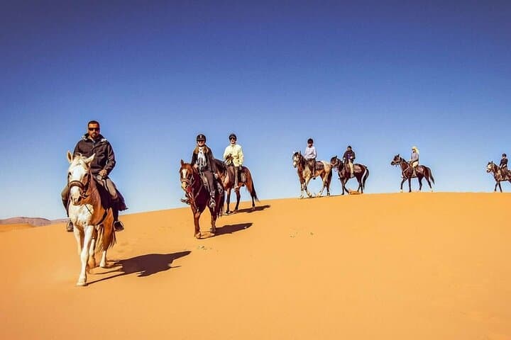 Doha Arabian Horseback Riding Adventure: Desert Dunes & Stable Transfers photo 5