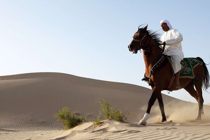 Doha Arabian Horseback Riding Adventure: Desert Dunes & Stable Transfers photo 2