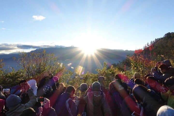 Alishan National Forest: Sunrise, Sea of Clouds & Ancient Cypress Trails photo 3