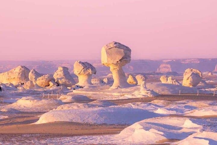 White & Black Desert Overnight: 2-Day Farafra Camping Expedition from Cairo photo 2