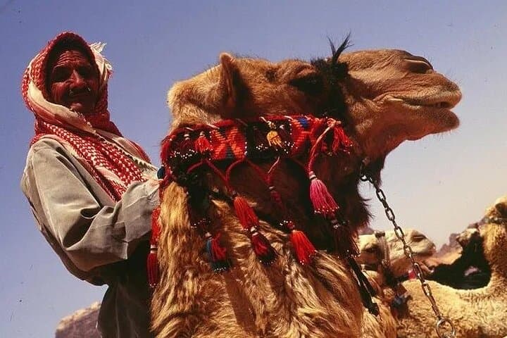 Sunset Camel Ride in Wadi Rum: Private Bedouin-Led Desert Experience photo 5