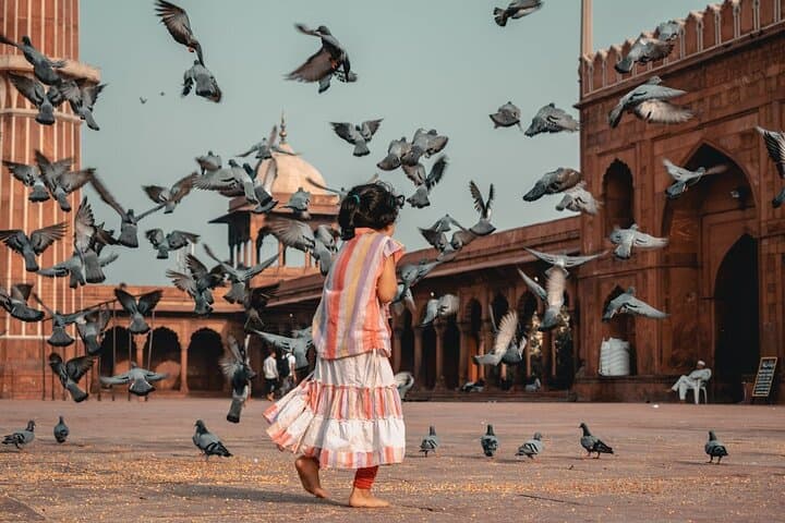 Private Old and New Delhi Half or Full-Day Guided Tour photo 5