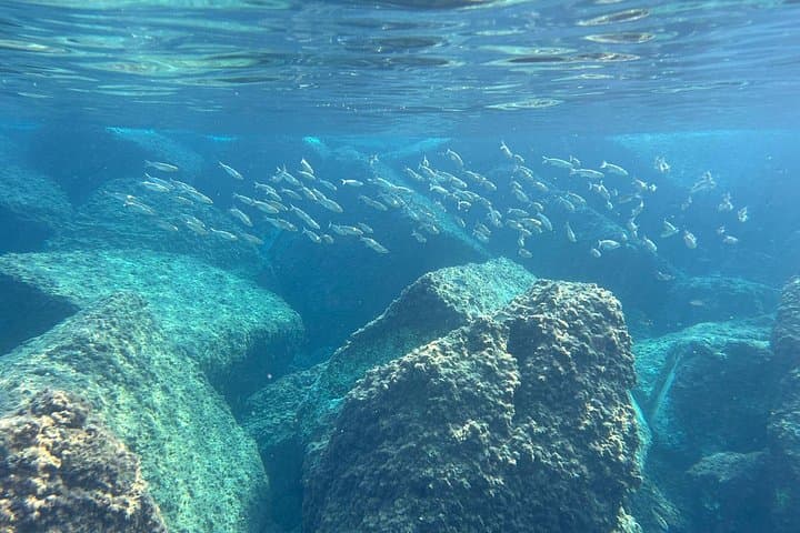 Palermo Full-Day Snorkeling Boat Tour with Lunch and Marine Biologist photo 2