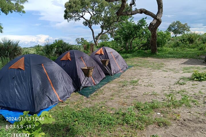 Overnight Mokoro Safari in the Okavango Delta: 1 Night, 2 Days photo 4