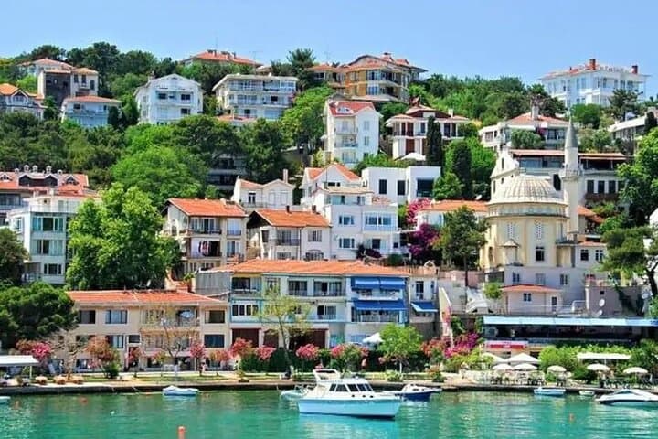 Princes' Islands Day Tour: Ferry Ride, Bikes & Seaside Lunch from Istanbul
