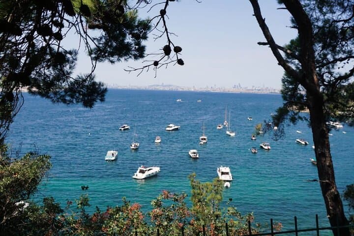 Princes' Islands Day Tour: Ferry Ride, Bikes & Seaside Lunch from Istanbul photo 3