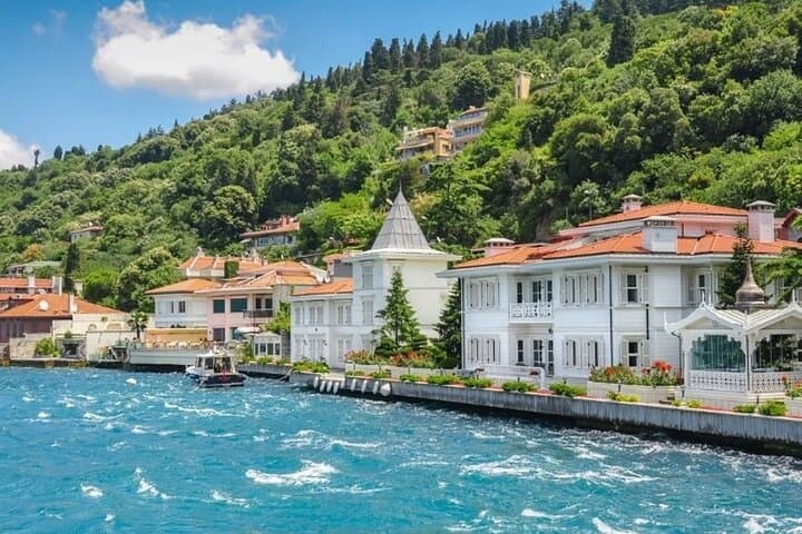 Princes' Islands Day Tour: Ferry Ride, Bikes & Seaside Lunch from Istanbul photo 2
