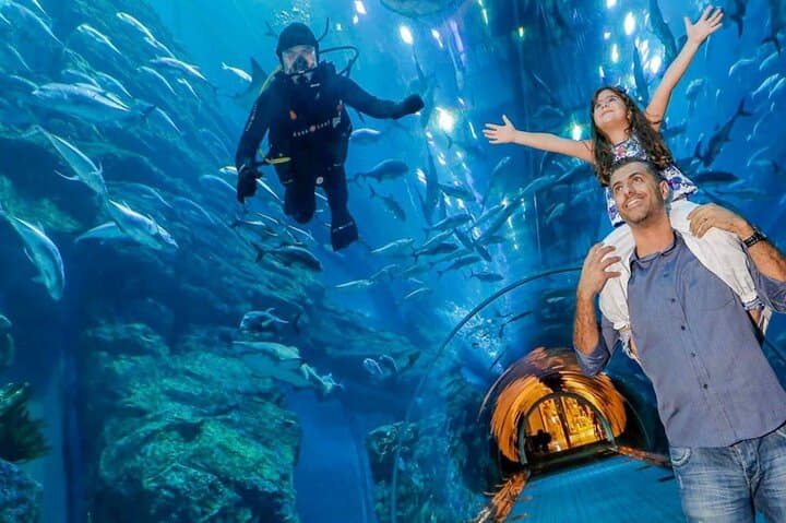 Inside Dubai Aquarium & Underwater Zoo: Tickets, Tunnel Views and Penguin Cove photo 4