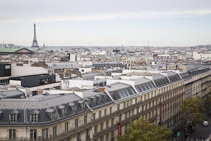 Honfleur to Paris Private Tour: Eiffel, Champs-Élysées & Louvre Day Trip photo 6