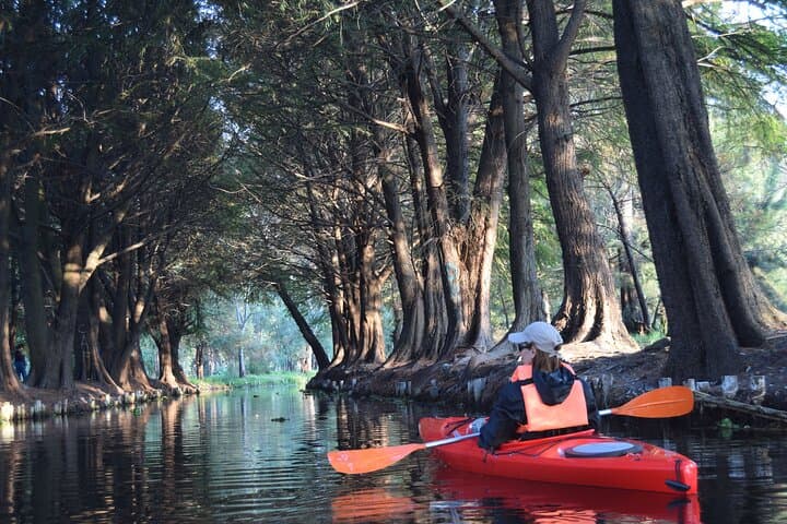 Kayaking the Xochimilco Canals at Sunrise: Agroecological Tour & Axolotl Encounter photo 3