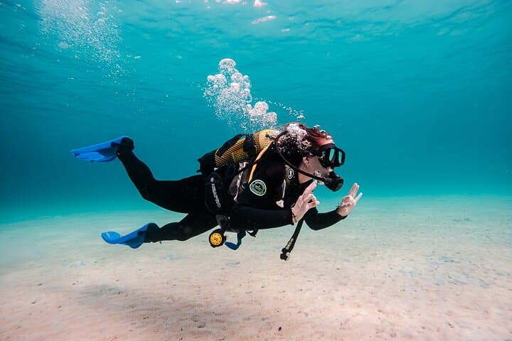 Boat Scuba Diving in Mallorca: Introductory Dives on the East Coast