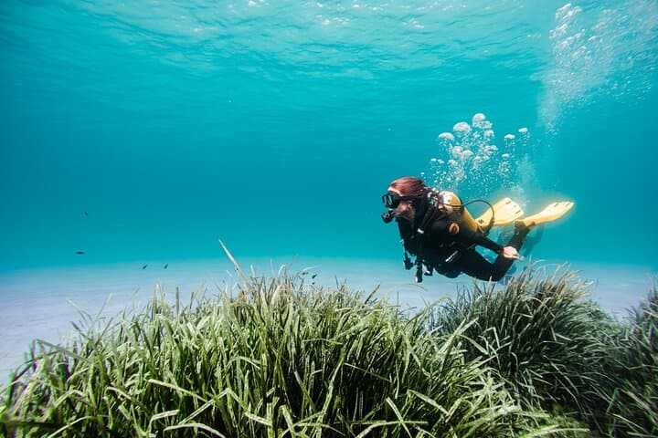 Boat Scuba Diving in Mallorca: Introductory Dives on the East Coast photo 2