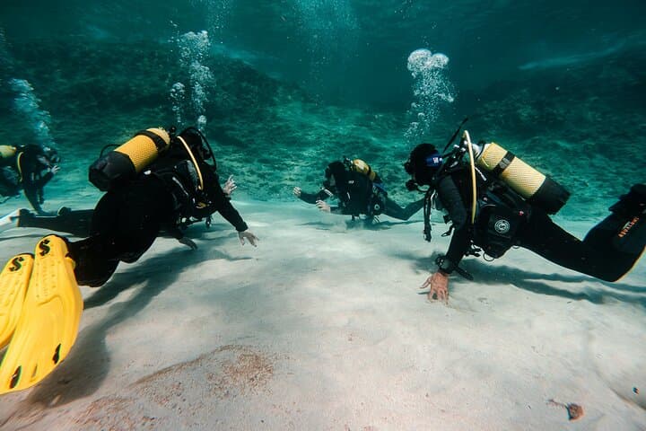 Boat Scuba Diving in Mallorca: Introductory Dives on the East Coast photo 3