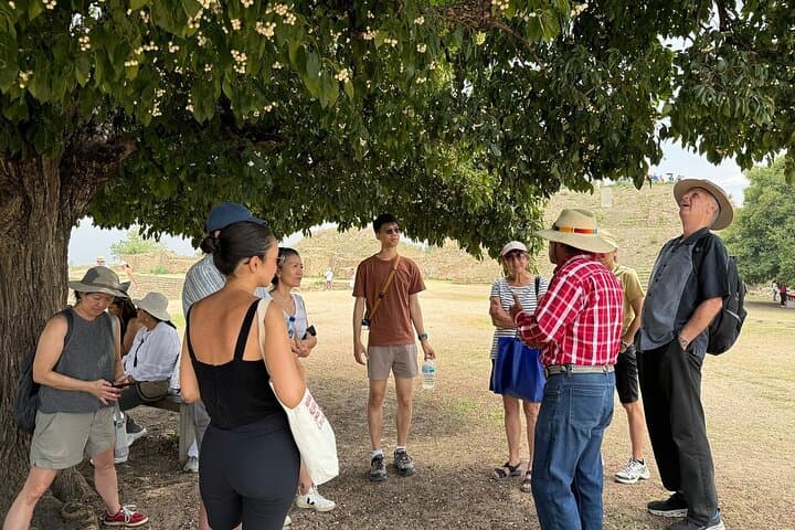 Half-Day Monte Albán Tour: Explore Oaxaca’s Mountaintop Zapotec Ruins photo 2