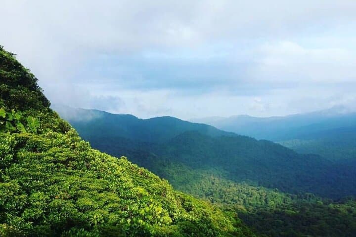Healing Waters Therapy in Monteverde Cloud Forest: Janzu & Watsu Immersion photo 4