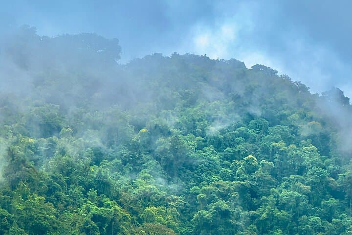 Healing Waters Therapy in Monteverde Cloud Forest: Janzu & Watsu Immersion photo 5