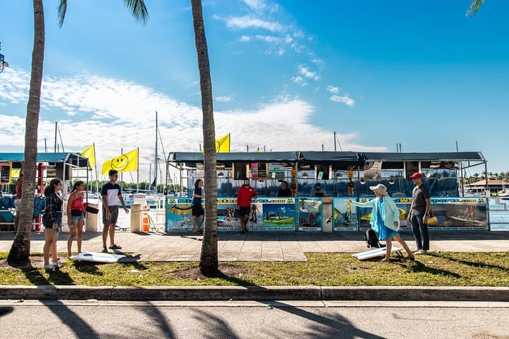 Parasailing in Miami: Dinner Key Scenic Flights with Miami Watersports photo 3