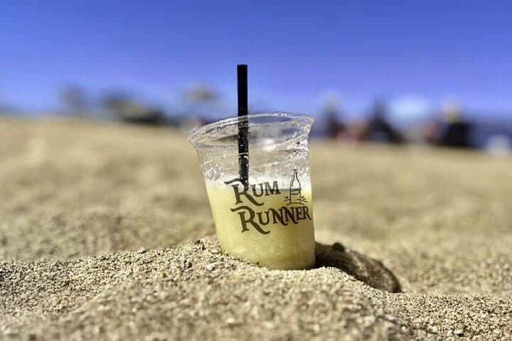 Lake Tahoe Boat Bar Tour: 4-Hour Rubicon Dock Cruise & Shoreline Bars photo 2