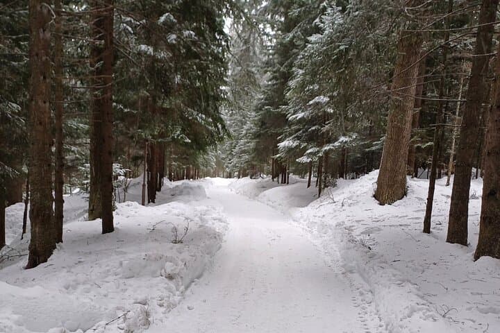 Royal Bistritsa Palace Hike and Sled — Borovets Day Trip to Rila
