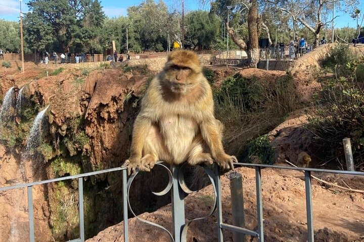 Ouzoud Waterfalls Day Trip from Marrakech: Olive Groves, Boat Ride & Berber Lunch photo 1