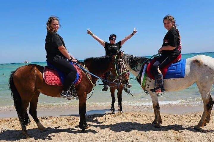 Hurghada Desert & Sea: 3-Hour Horse or Camel Riding Adventure photo 4