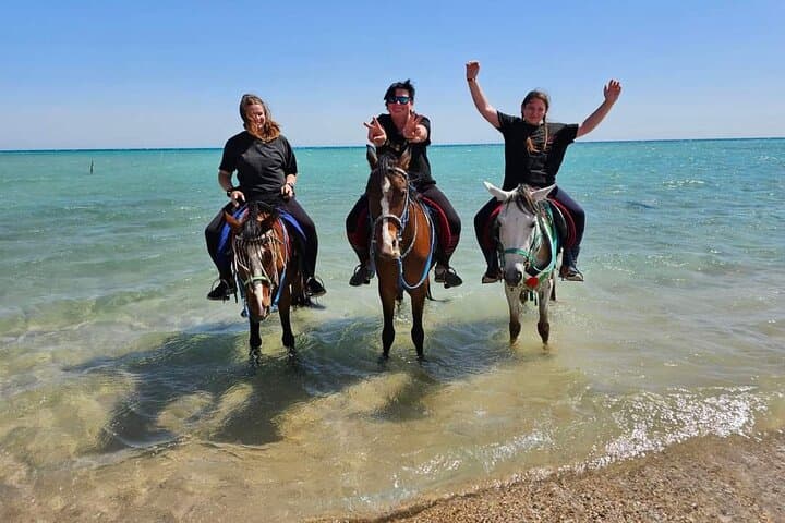 Hurghada Desert & Sea: 3-Hour Horse or Camel Riding Adventure