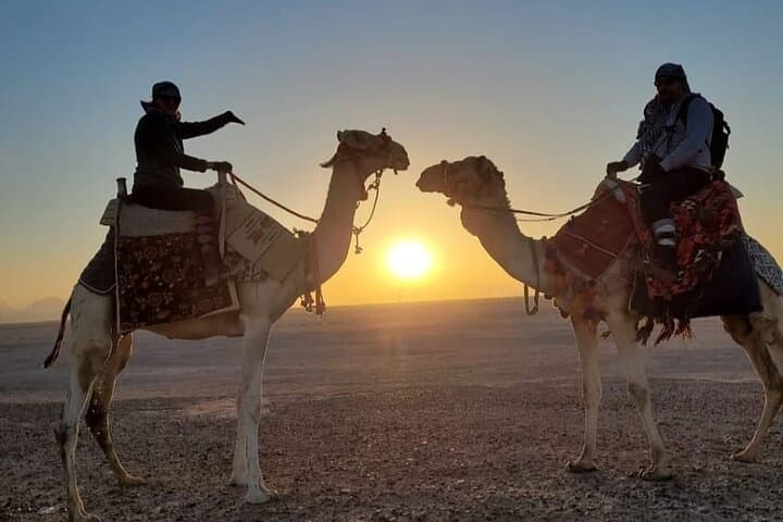 Hurghada Desert & Sea: 3-Hour Horse or Camel Riding Adventure photo 3