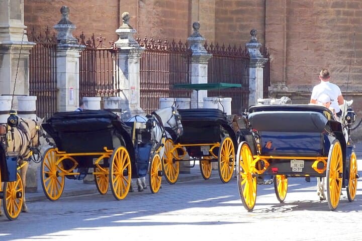 Private Transfer from Cádiz to Seville: 4‑Hour Shore Excursion & City Highlights photo 5
